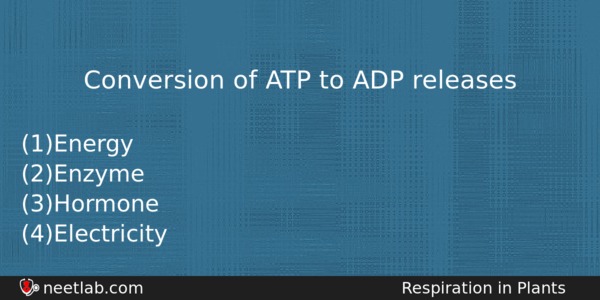 Conversion Of Atp To Adp Releases Biology Question 