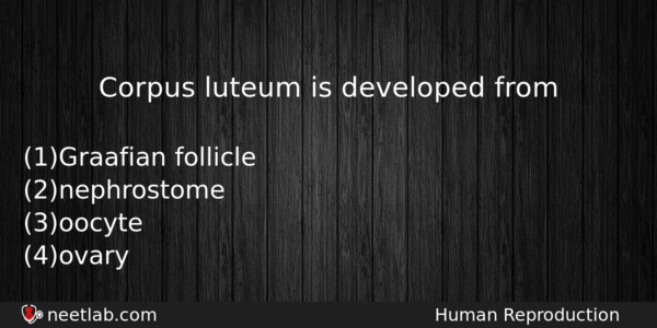 Corpus Luteum Is Developed From Biology Question 