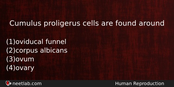 Cumulus Proligerus Cells Are Found Around Biology Question 