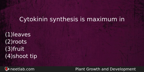Cytokinin Synthesis Is Maximum In Biology Question 