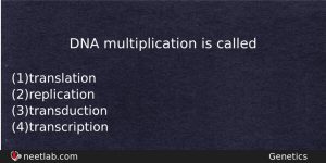 Dna Multiplication Is Called Biology Question