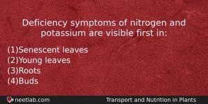Deficiency Symptoms Of Nitrogen And Potassium Are Visible First In Biology Question