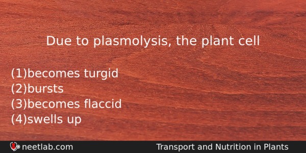 Due To Plasmolysis The Plant Cell Biology Question 