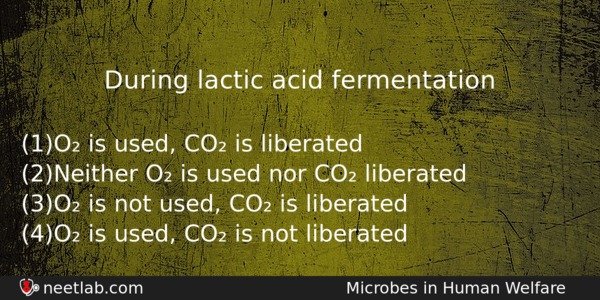 During Lactic Acid Fermentation Biology Question 