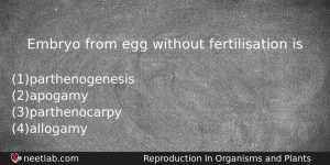 Embryo From Egg Without Fertilisation Is Biology Question