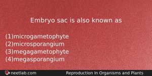 Embryo Sac Is Also Known As Biology Question
