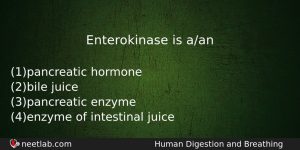 Enterokinase Is Aan Biology Question