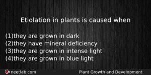 Etiolation In Plants Is Caused When Biology Question