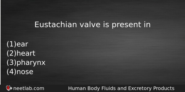 Eustachian Valve Is Present In Biology Question 