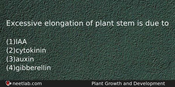 Excessive Elongation Of Plant Stem Is Due To Biology Question 