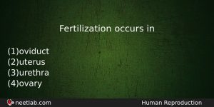 Fertilization Occurs In Biology Question