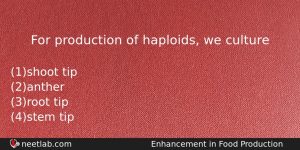 For Production Of Haploids We Culture Biology Question