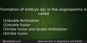 Formation Of Embryo Sac In The Angiosperms Is Called Biology Question