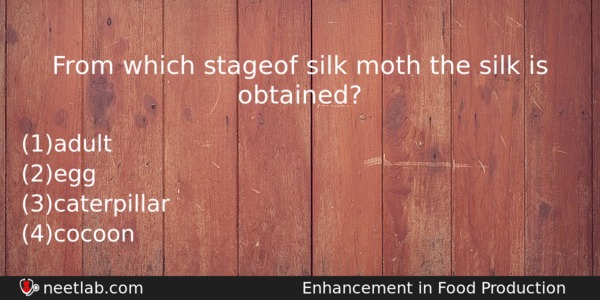 From Which Stageof Silk Moth The Silk Is Obtained Biology Question 