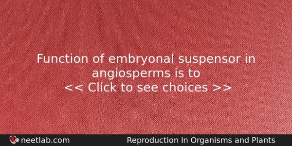 Function Of Embryonal Suspensor In Angiosperms Is To Biology Question 