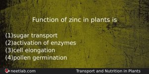 Function Of Zinc In Plants Is Biology Question
