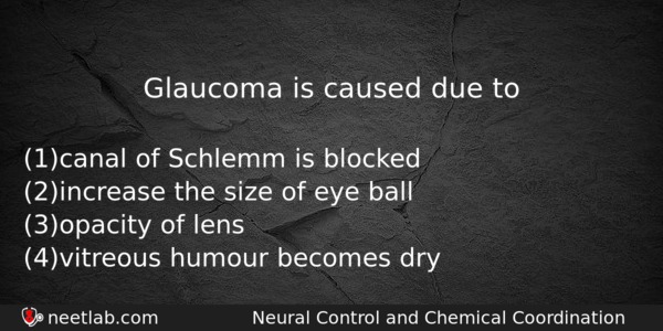 Glaucoma Is Caused Due To Biology Question 