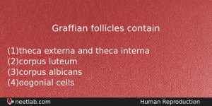 Graffian Follicles Contain Biology Question