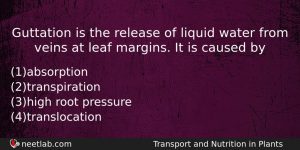 Guttation Is The Release Of Liquid Water From Veins At Biology Question