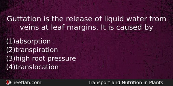 Guttation Is The Release Of Liquid Water From Veins At Biology Question 