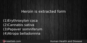 Heroin Is Extracted Form Biology Question