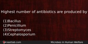 Highest Number Of Antibiotics Are Produced By Biology Question