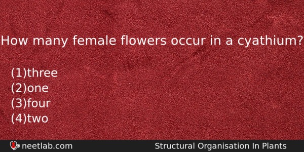How Many Female Flowers Occur In A Cyathium Biology Question 