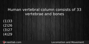 Human Vertebral Column Consists Of 33 Vertebrae And Bones Biology Question