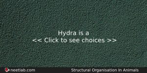 Hydra Is A Biology Question