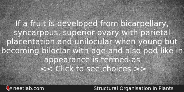 If A Fruit Is Developed From Bicarpellary Syncarpous Superior Ovary Biology Question 
