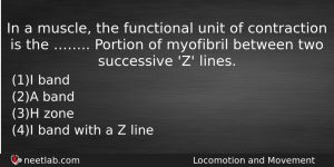 In A Muscle The Functional Unit Of Contraction Is The Biology Question