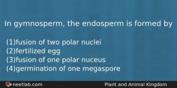 In Gymnosperm The Endosperm Is Formed By Biology Question 