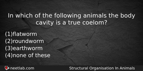 In Which Of The Following Animals The Body Cavity Is Biology Question 