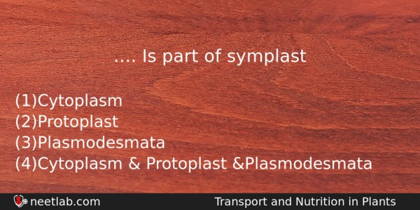 Is Part Of Symplast Biology Question 