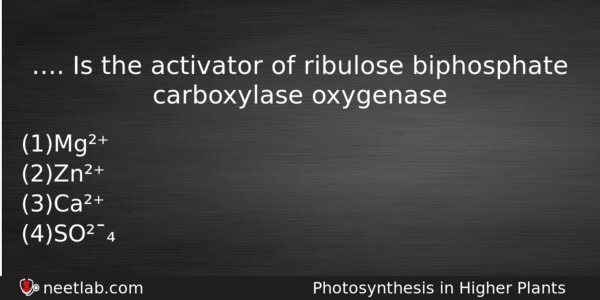 Is The Activator Of Ribulose Biphosphate Carboxylase Oxygenase Biology Question 