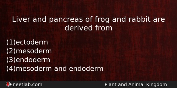 Liver And Pancreas Of Frog And Rabbit Are Derived From Biology Question 