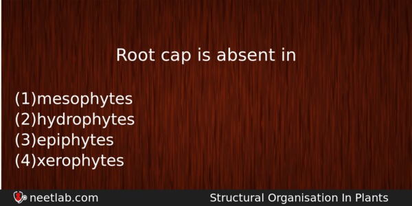 Root Cap Is Absent In Biology Question 