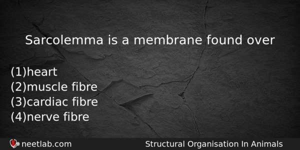 Sarcolemma Is A Membrane Found Over Biology Question 