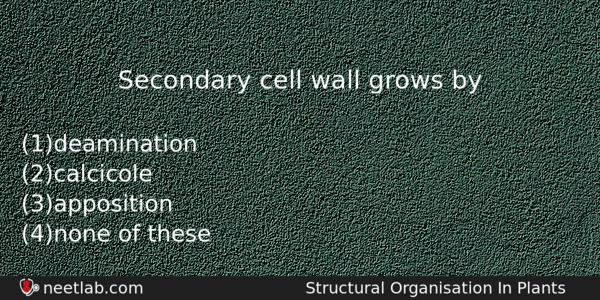 Secondary Cell Wall Grows By Biology Question 