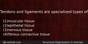Tendons And Ligaments Are Specialized Types Of Biology Question