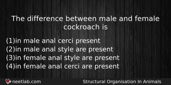 The Difference Between Male And Female Cockroach Is Biology Question 