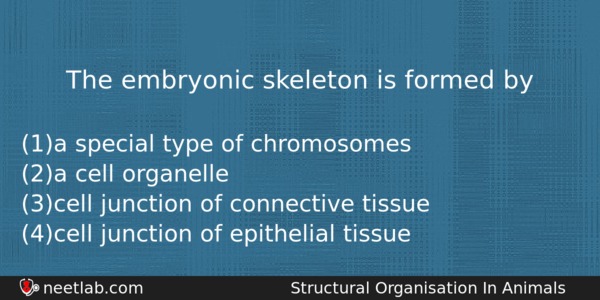 The Embryonic Skeleton Is Formed By Biology Question 