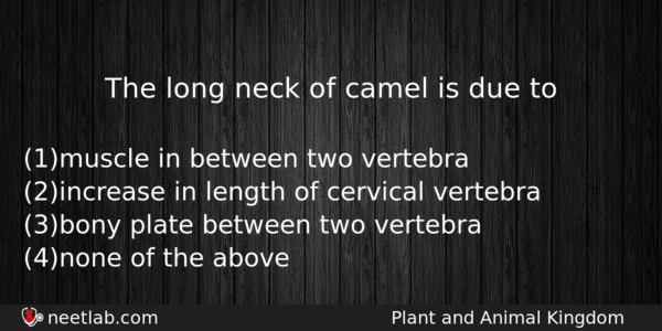 The Long Neck Of Camel Is Due To Biology Question 