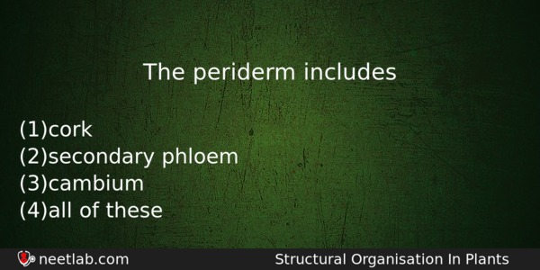 The Periderm Includes Biology Question 