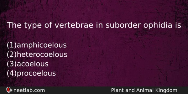 The Type Of Vertebrae In Suborder Ophidia Is Biology Question 