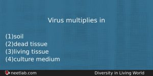 Virus Multiplies In Biology Question