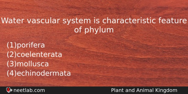 Water Vascular System Is Characteristic Feature Of Phylum Biology Question 