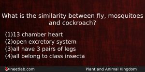 What Is The Similarity Between Fly Mosquitoes And Cockroach Biology Question