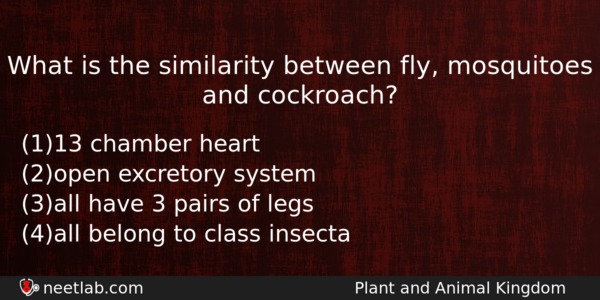 What Is The Similarity Between Fly Mosquitoes And Cockroach Biology Question 