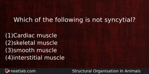 Which Of The Following Is Not Syncytial Biology Question